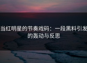 当红明星的节奏戏码：一段黑料引发的轰动与反思