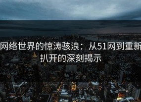 网络世界的惊涛骇浪：从51网到重新扒开的深刻揭示