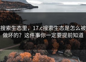 搜索生态里，17.c搜索生态是怎么被做坏的？这件事你一定要提前知道