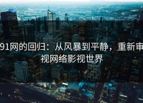 91网的回归：从风暴到平静，重新审视网络影视世界