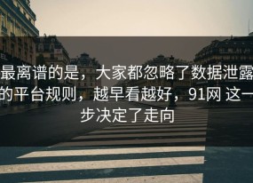 最离谱的是，大家都忽略了数据泄露的平台规则，越早看越好，91网 这一步决定了走向