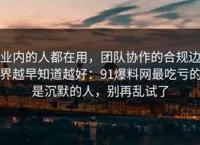 业内的人都在用，团队协作的合规边界越早知道越好：91爆料网最吃亏的是沉默的人，别再乱试了