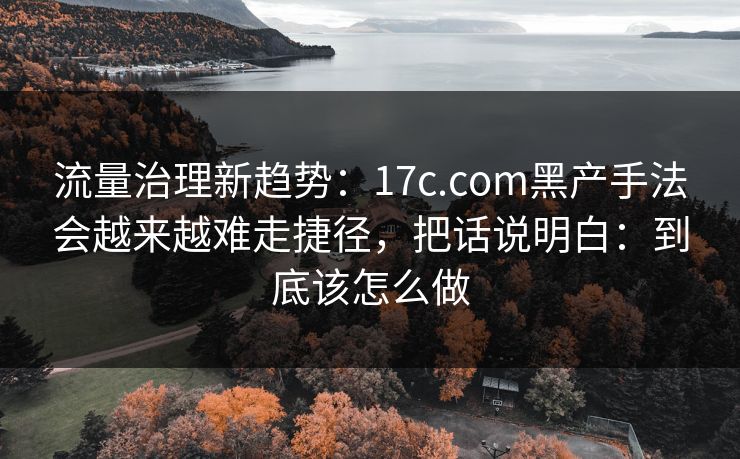 流量治理新趋势：17c.com黑产手法会越来越难走捷径，把话说明白：到底该怎么做