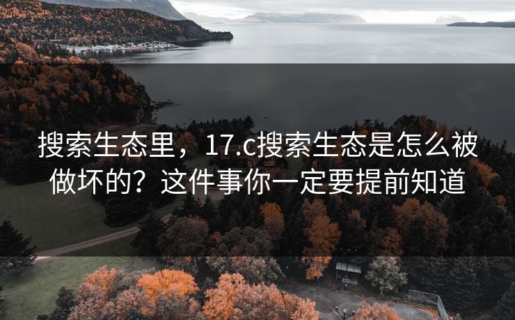 搜索生态里，17.c搜索生态是怎么被做坏的？这件事你一定要提前知道