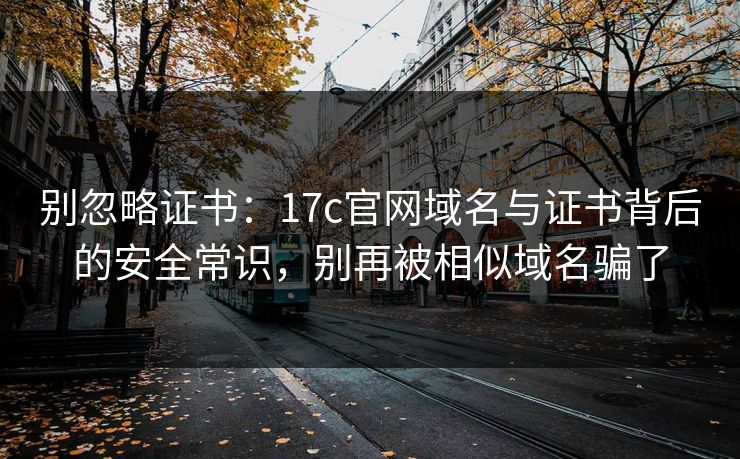 别忽略证书:17c官网域名与证书背后的安全常识,别再被相似域名骗了 别忽略证书:17c官网域名与证书背后的安全常识,别再被相似域名骗了