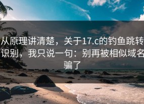 从原理讲清楚，关于17.c的钓鱼跳转识别，我只说一句：别再被相似域名骗了
