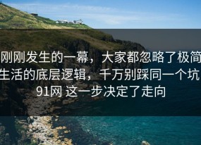 刚刚发生的一幕，大家都忽略了极简生活的底层逻辑，千万别踩同一个坑，91网 这一步决定了走向