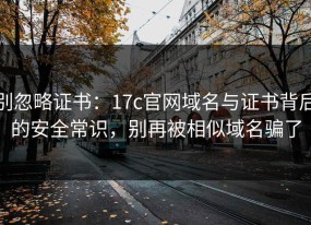 别忽略证书：17c官网域名与证书背后的安全常识，别再被相似域名骗了