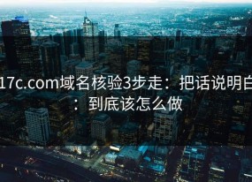 17c.com域名核验3步走：把话说明白：到底该怎么做