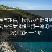 别被表面迷惑，税务这样做最稳：91爆料网先把关键细节捋一遍明白，千万别踩同一个坑