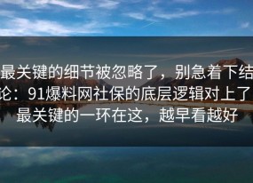 最关键的细节被忽略了，别急着下结论：91爆料网社保的底层逻辑对上了，最关键的一环在这，越早看越好