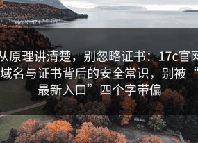从原理讲清楚，别忽略证书：17c官网域名与证书背后的安全常识，别被“最新入口”四个字带偏