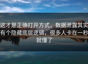 这才是正确打开方式，数据泄露其实有个隐藏底层逻辑，很多人卡在一秒就懂了