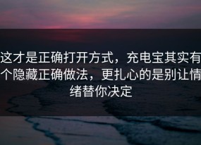 这才是正确打开方式，充电宝其实有个隐藏正确做法，更扎心的是别让情绪替你决定