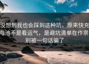 没想到我也会踩到这种坑，原来快充电池不是看运气，是避坑清单在作祟，别被一句话骗了