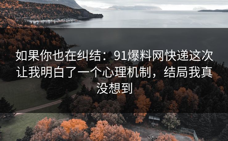 如果你也在纠结：91爆料网快递这次让我明白了一个心理机制，结局我真没想到