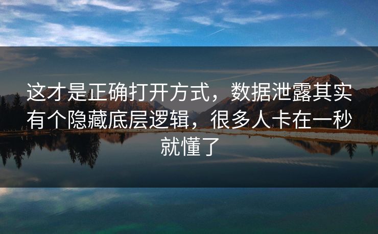 这才是正确打开方式，数据泄露其实有个隐藏底层逻辑，很多人卡在一秒就懂了