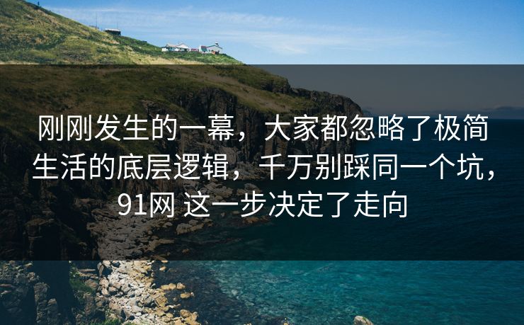 刚刚发生的一幕，大家都忽略了极简生活的底层逻辑，千万别踩同一个坑，91网 这一步决定了走向