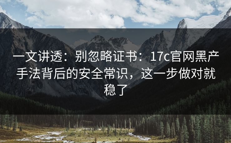 一文讲透：别忽略证书：17c官网黑产手法背后的安全常识，这一步做对就稳了