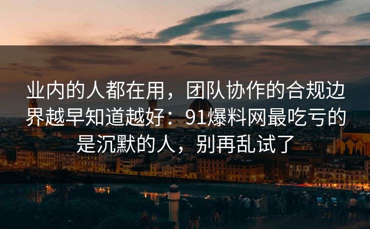 业内的人都在用，团队协作的合规边界越早知道越好：91爆料网最吃亏的是沉默的人，别再乱试了