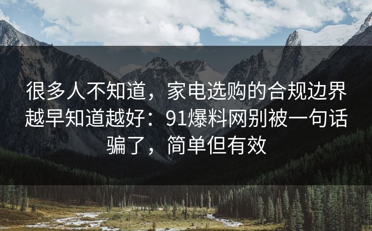 很多人不知道，家电选购的合规边界越早知道越好：91爆料网别被一句话骗了，简单但有效
