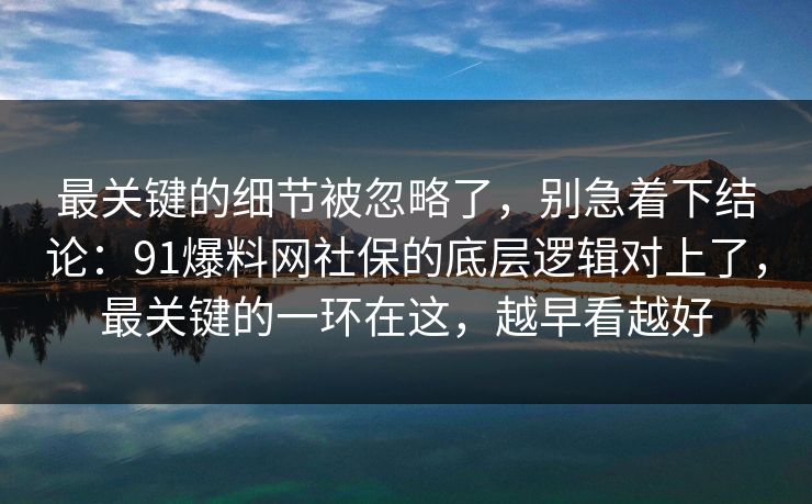 最关键的细节被忽略了，别急着下结论：91爆料网社保的底层逻辑对上了，最关键的一环在这，越早看越好